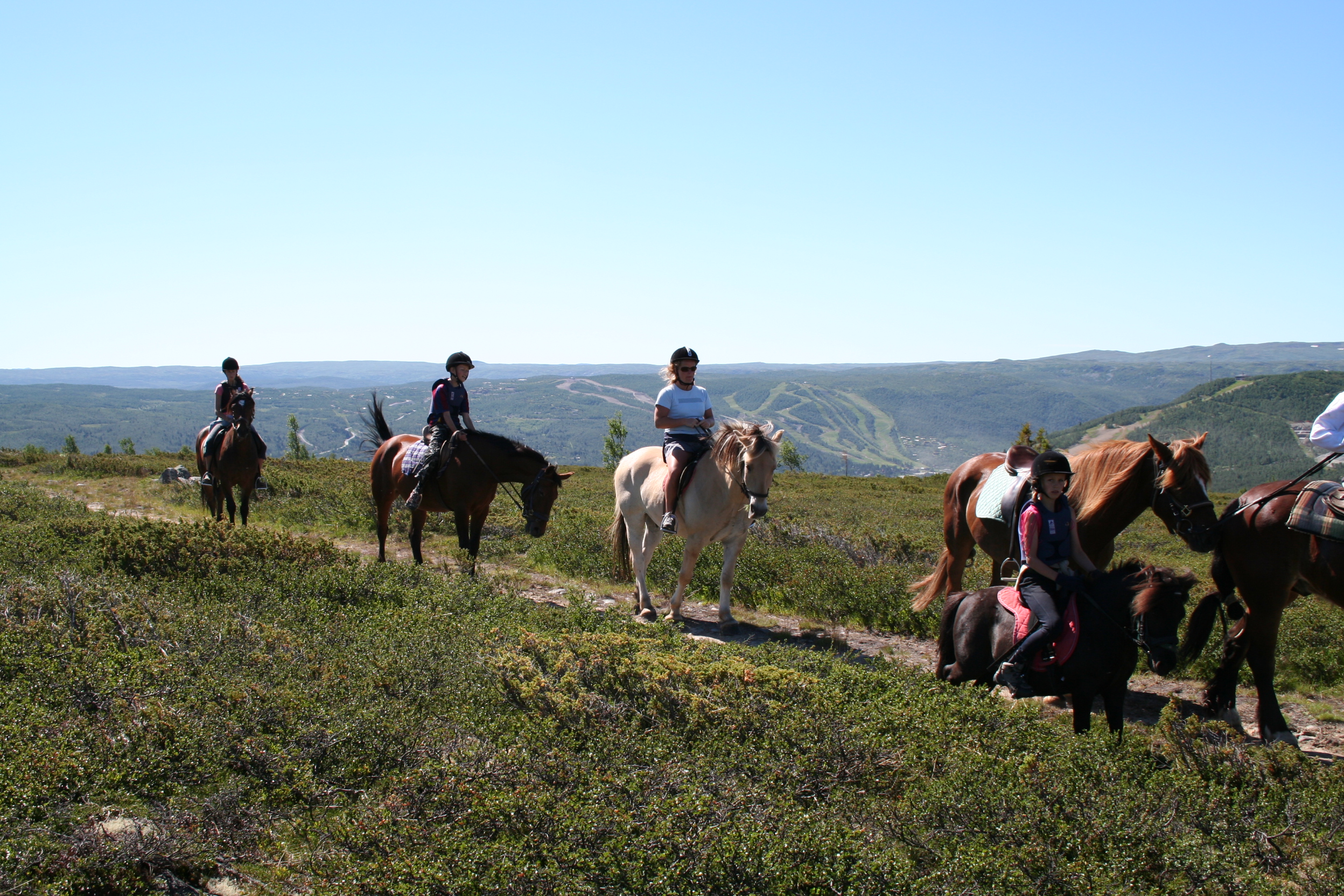 horseback riding geilo mountains